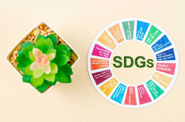 Understanding the United Nations Sustainable Development Goals (SDGs)