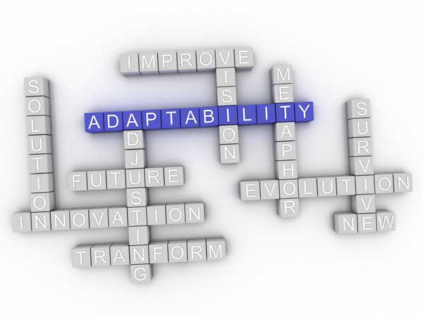 Improve Your Ability to Adapt: The Benefits of Focusing on Your AQ